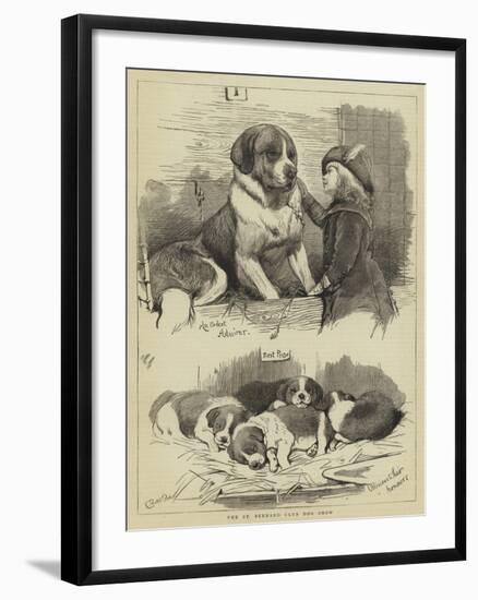 The St Bernard Club Dog Show-Charles Burton Barber-Framed Giclee Print