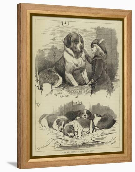 The St Bernard Club Dog Show-Charles Burton Barber-Framed Premier Image Canvas