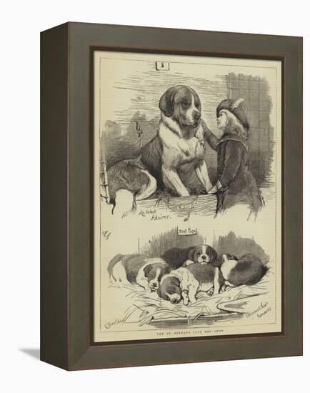 The St Bernard Club Dog Show-Charles Burton Barber-Framed Premier Image Canvas