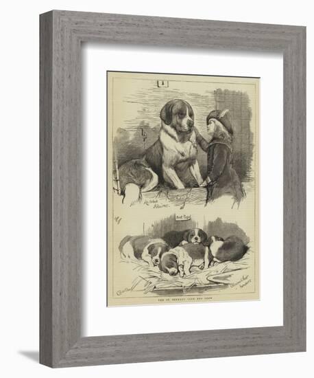 The St Bernard Club Dog Show-Charles Burton Barber-Framed Giclee Print