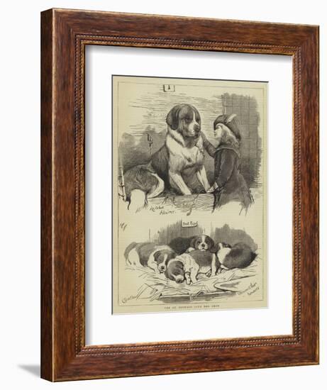 The St Bernard Club Dog Show-Charles Burton Barber-Framed Giclee Print