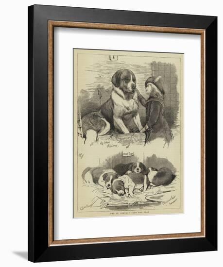 The St Bernard Club Dog Show-Charles Burton Barber-Framed Giclee Print