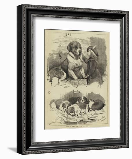 The St Bernard Club Dog Show-Charles Burton Barber-Framed Giclee Print