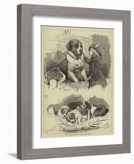 The St Bernard Club Dog Show-Charles Burton Barber-Framed Giclee Print