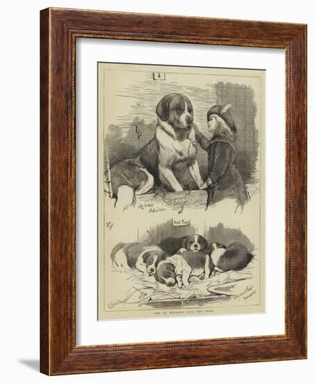 The St Bernard Club Dog Show-Charles Burton Barber-Framed Giclee Print