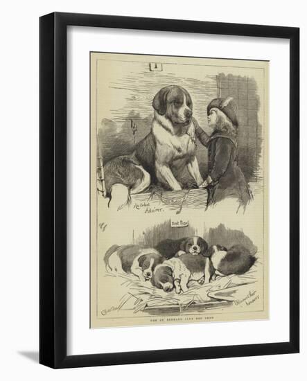 The St Bernard Club Dog Show-Charles Burton Barber-Framed Giclee Print