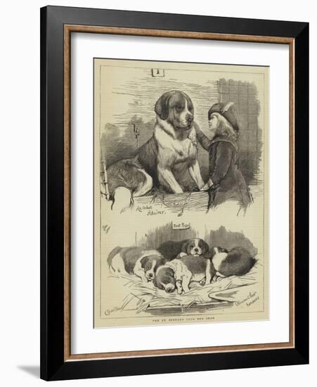 The St Bernard Club Dog Show-Charles Burton Barber-Framed Giclee Print