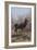The Stag, 1875-Rosa Bonheur-Framed Giclee Print