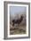 The Stag, 1875-Rosa Bonheur-Framed Giclee Print