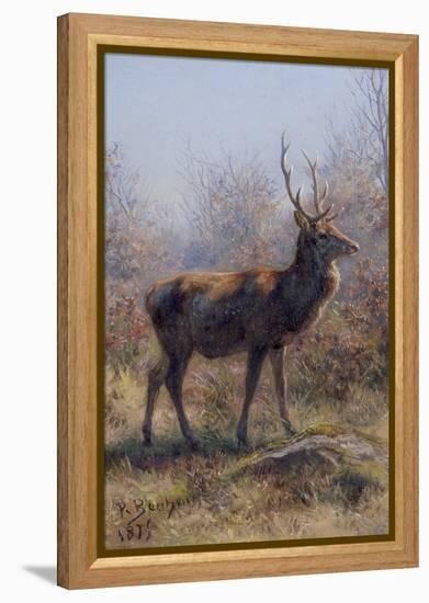 The Stag, 1875-Rosa Bonheur-Framed Premier Image Canvas