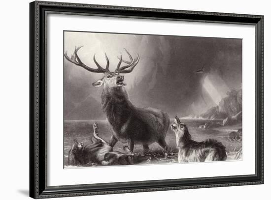 The Stag at Bay-Edwin Henry Landseer-Framed Giclee Print