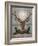 The Stag of St. Hubert-null-Framed Giclee Print