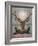 The Stag of St. Hubert-null-Framed Giclee Print