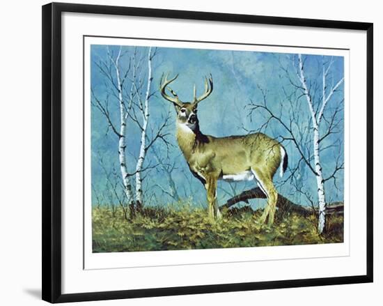 The Stag-Peter Darro-Framed Limited Edition