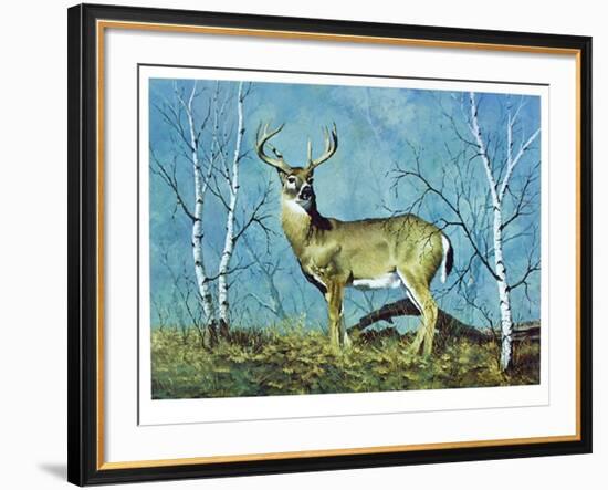 The Stag-Peter Darro-Framed Limited Edition