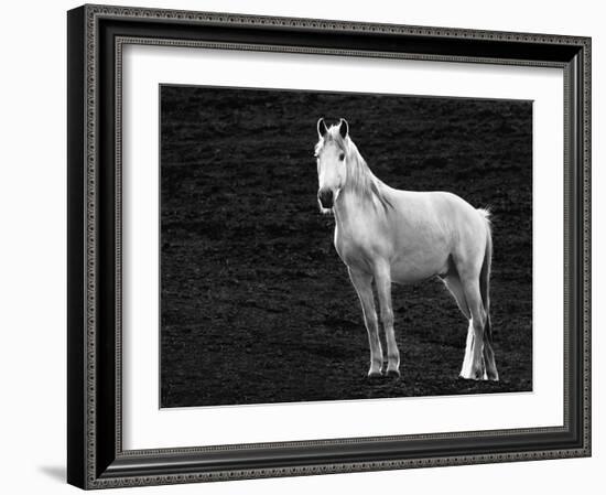 The Stance-Sally Linden-Framed Photographic Print