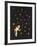 The Star Garden-The Vintage Collection-Framed Giclee Print