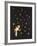 The Star Garden-The Vintage Collection-Framed Giclee Print