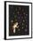 The Star Garden-The Vintage Collection-Framed Giclee Print