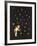 The Star Garden-The Vintage Collection-Framed Giclee Print