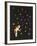 The Star Garden-The Vintage Collection-Framed Giclee Print