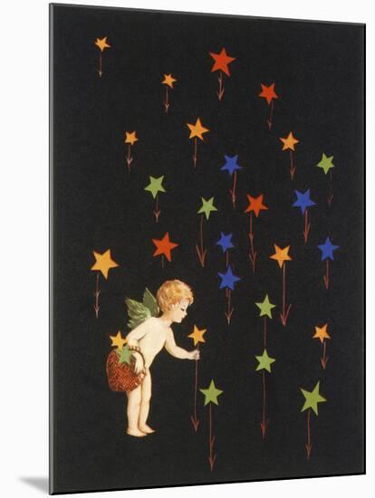 The Star Garden-The Vintage Collection-Mounted Giclee Print