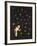 The Star Garden-The Vintage Collection-Framed Giclee Print