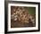 The Start of the 26 Mile Marathon at Summer Olympics-null-Framed Photographic Print