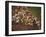 The Start of the 26 Mile Marathon at Summer Olympics-null-Framed Photographic Print
