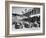 The Starting Grid for the Nice Grand Prix, 1934-null-Framed Photographic Print