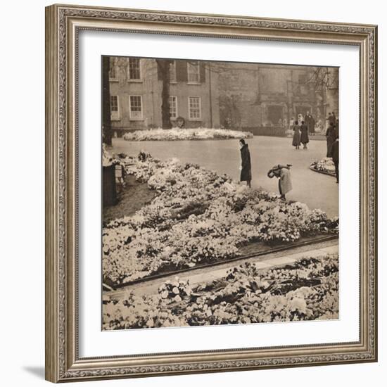 'The State Funeral of King George V at Windsor: memorial wreaths', 1936-Unknown-Framed Photographic Print