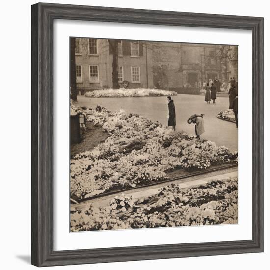 'The State Funeral of King George V at Windsor: memorial wreaths', 1936-Unknown-Framed Photographic Print