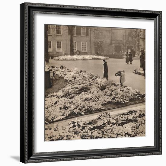 'The State Funeral of King George V at Windsor: memorial wreaths', 1936-Unknown-Framed Photographic Print