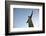 The Statue of Christ the Redeemer on Top of the Corcovado Mountain, Rio de Janeiro, Brazil-Yadid Levy-Framed Photographic Print