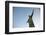 The Statue of Christ the Redeemer on Top of the Corcovado Mountain, Rio de Janeiro, Brazil-Yadid Levy-Framed Photographic Print