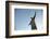 The Statue of Christ the Redeemer on Top of the Corcovado Mountain, Rio de Janeiro, Brazil-Yadid Levy-Framed Photographic Print