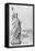 The Statue of Liberty, New York, C.1885 (Engraving) (B/W Photo)-American-Framed Premier Image Canvas