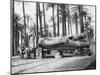 The Statue of Rameses II, Cairo, Egypt, C1920S-null-Mounted Giclee Print