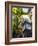 The Steam Clock on Water Street, Gastown, Vancouver, British Columbia, Canada, North America-Martin Child-Framed Photographic Print