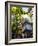 The Steam Clock on Water Street, Gastown, Vancouver, British Columbia, Canada, North America-Martin Child-Framed Photographic Print