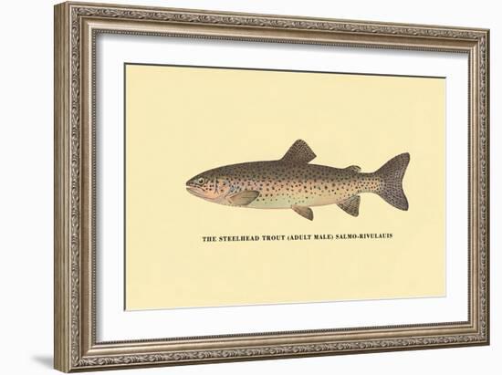 The Steelhead Trout-H.h. Leonard-Framed Art Print