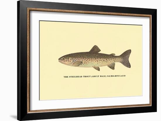 The Steelhead Trout-H.h. Leonard-Framed Art Print