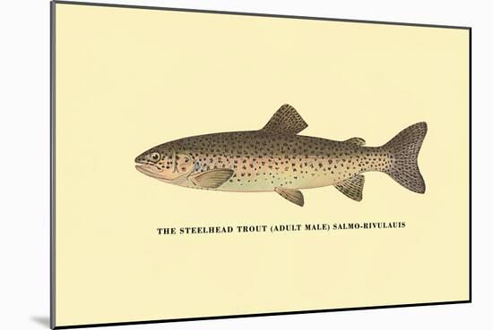 The Steelhead Trout-H.h. Leonard-Mounted Art Print