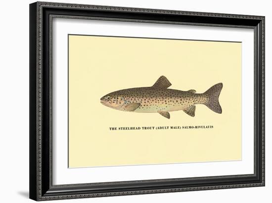 The Steelhead Trout-H.h. Leonard-Framed Art Print