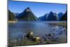 The Steep Cliffs of Milford Sound-Michael-Mounted Photographic Print