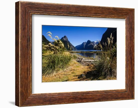 The Steep Cliffs of Milford Sound-Michael-Framed Photographic Print