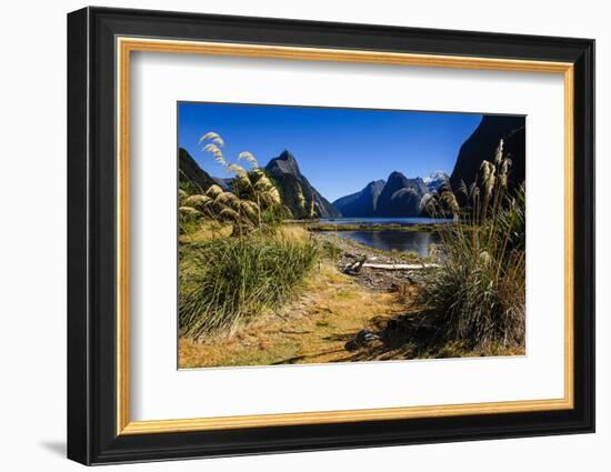 The Steep Cliffs of Milford Sound-Michael-Framed Photographic Print