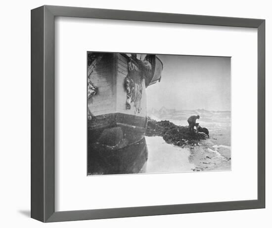 'The Stern of the Fram. Johansen and 'Sultan' ,16 June, 1894', (1897)-Unknown-Framed Photographic Print