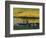 The Stevedores in Arles, 1888-Vincent van Gogh-Framed Giclee Print