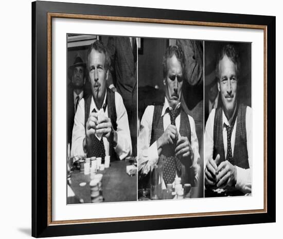 The Sting-null-Framed Photo